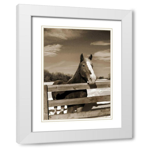 At the Ranch White Modern Wood Framed Art Print with Double Matting by Amber Light Gallery