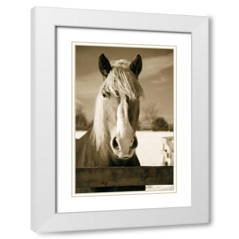 At the Correl White Modern Wood Framed Art Print with Double Matting by Amber Light Gallery