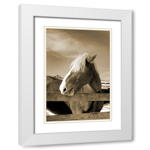 At the Farm White Modern Wood Framed Art Print with Double Matting by Amber Light Gallery
