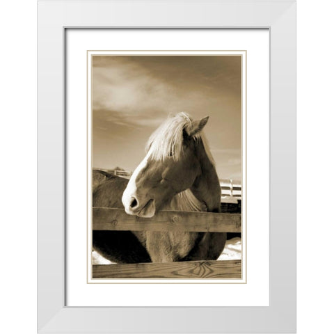 At the Farm White Modern Wood Framed Art Print with Double Matting by Amber Light Gallery