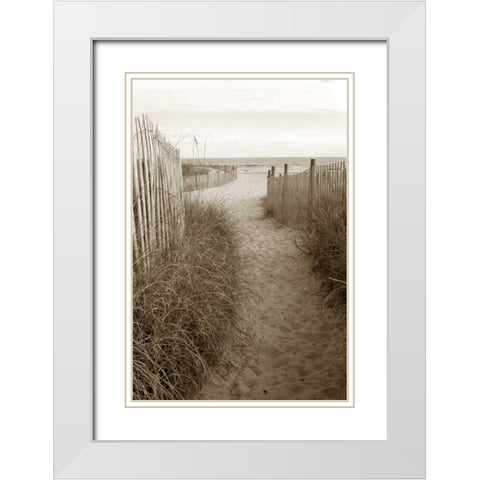 Beach Trail 1 White Modern Wood Framed Art Print with Double Matting by Amber Light Gallery