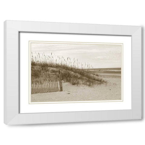 In the Dunes 1 White Modern Wood Framed Art Print with Double Matting by Amber Light Gallery