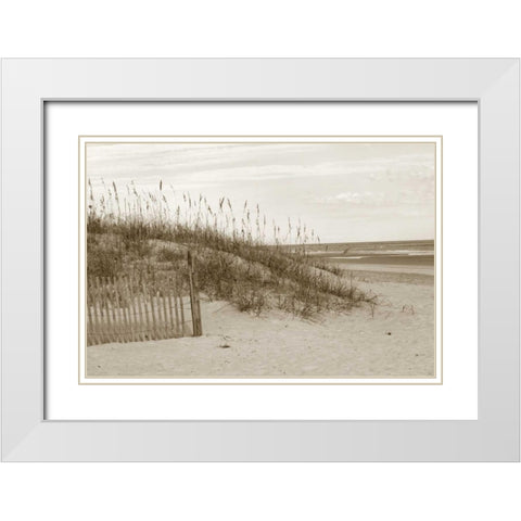 In the Dunes 1 White Modern Wood Framed Art Print with Double Matting by Amber Light Gallery