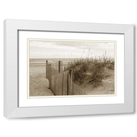 In the Dunes 2 White Modern Wood Framed Art Print with Double Matting by Amber Light Gallery