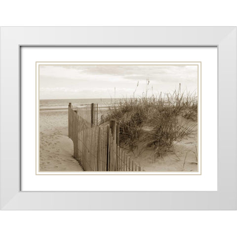 In the Dunes 2 White Modern Wood Framed Art Print with Double Matting by Amber Light Gallery