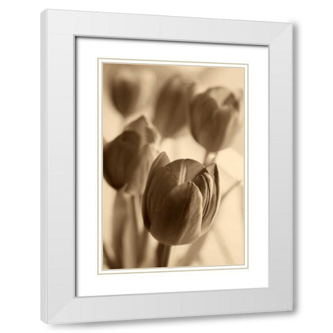 Illuminated Tulips 1 White Modern Wood Framed Art Print with Double Matting by Amber Light Gallery