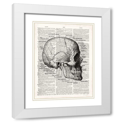 Vintage Anatomy Skull White Modern Wood Framed Art Print with Double Matting by James, Christopher