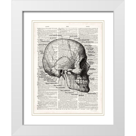Vintage Anatomy Skull White Modern Wood Framed Art Print with Double Matting by James, Christopher