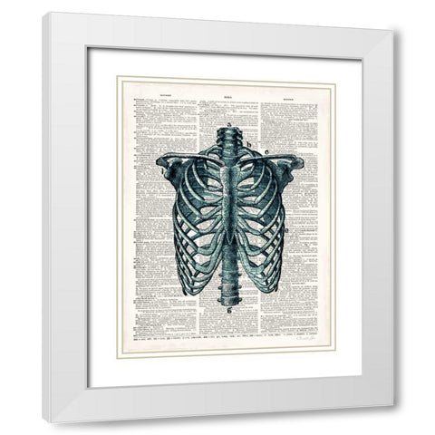 Vintage Anatomy Study White Modern Wood Framed Art Print with Double Matting by James, Christopher