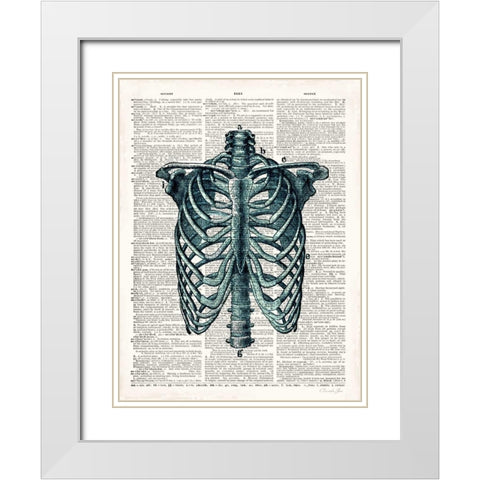 Vintage Anatomy Study White Modern Wood Framed Art Print with Double Matting by James, Christopher