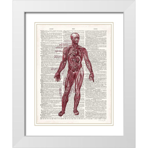 Vintage Anatomy Book  White Modern Wood Framed Art Print with Double Matting by James, Christopher