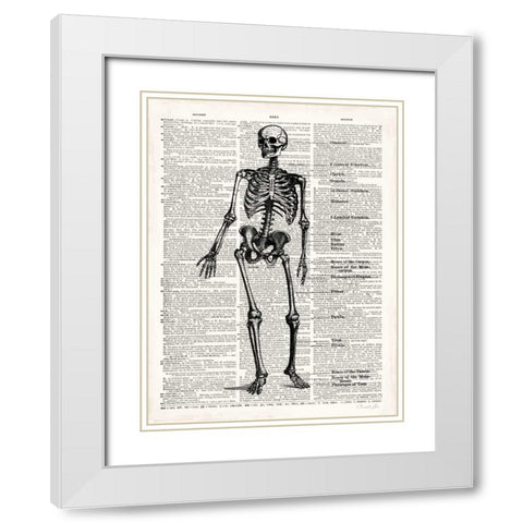 Vintage Anatomy Skeleton  White Modern Wood Framed Art Print with Double Matting by James, Christopher
