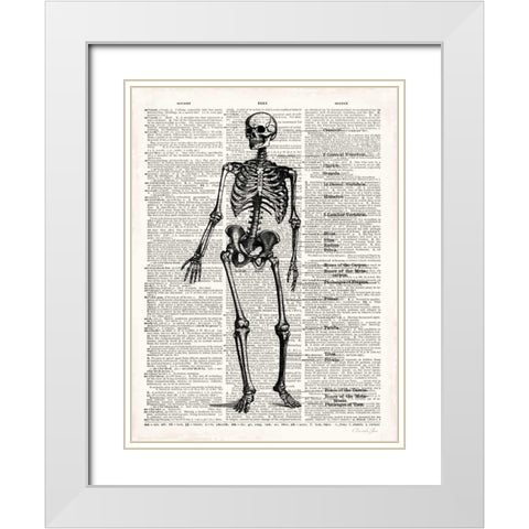 Vintage Anatomy Skeleton  White Modern Wood Framed Art Print with Double Matting by James, Christopher