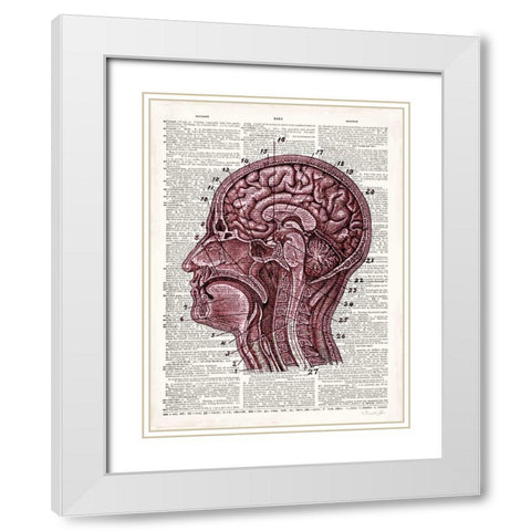 Vintage Anatomy Brain White Modern Wood Framed Art Print with Double Matting by James, Christopher