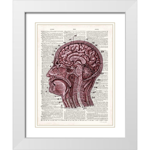 Vintage Anatomy Brain White Modern Wood Framed Art Print with Double Matting by James, Christopher