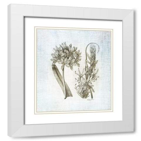 Farmhouse Botanical 1 White Modern Wood Framed Art Print with Double Matting by James, Christopher