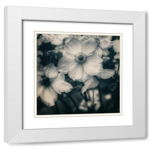 Blossoms At Dusk White Modern Wood Framed Art Print with Double Matting by Hoey, Linda