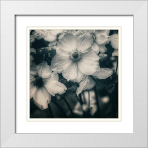 Blossoms At Dusk White Modern Wood Framed Art Print with Double Matting by Hoey, Linda
