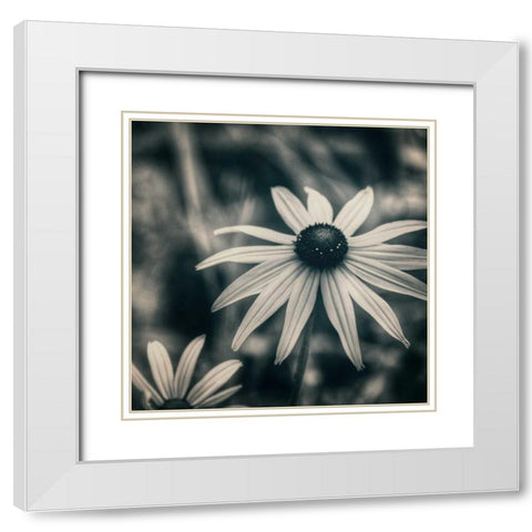 Garden At Dusk White Modern Wood Framed Art Print with Double Matting by Hoey, Linda