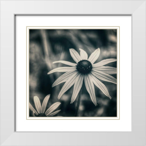 Garden At Dusk White Modern Wood Framed Art Print with Double Matting by Hoey, Linda