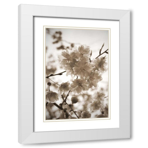 Blossom Twig 1 White Modern Wood Framed Art Print with Double Matting by Semenza, Marlana
