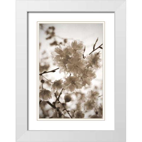 Blossom Twig 1 White Modern Wood Framed Art Print with Double Matting by Semenza, Marlana