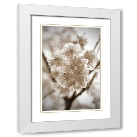 Blossom Twig 2 White Modern Wood Framed Art Print with Double Matting by Semenza, Marlana