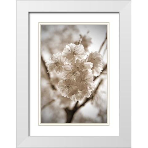 Blossom Twig 2 White Modern Wood Framed Art Print with Double Matting by Semenza, Marlana