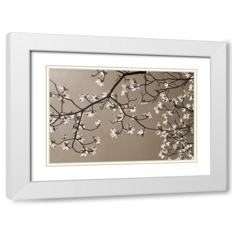 Dogwood Silhouette 2 White Modern Wood Framed Art Print with Double Matting by Semenza, Marlana