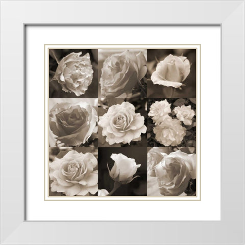 Rose Collection White Modern Wood Framed Art Print with Double Matting by Semenza, Marlana