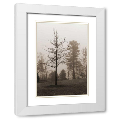 Evening Mist 1 White Modern Wood Framed Art Print with Double Matting by Sememza, Marlana