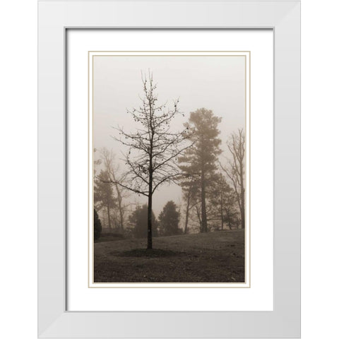 Evening Mist 1 White Modern Wood Framed Art Print with Double Matting by Sememza, Marlana
