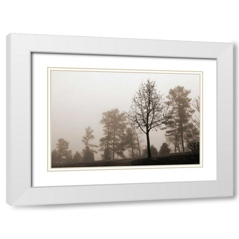 Evening Mist 2 White Modern Wood Framed Art Print with Double Matting by Sememza, Marlana
