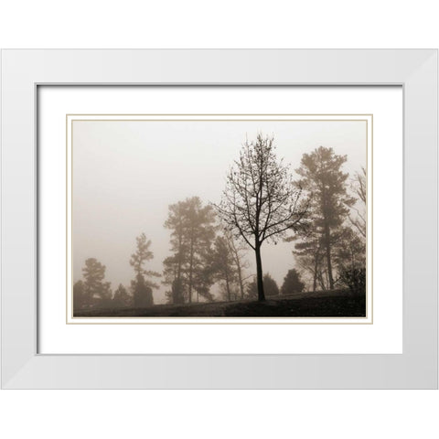 Evening Mist 2 White Modern Wood Framed Art Print with Double Matting by Sememza, Marlana