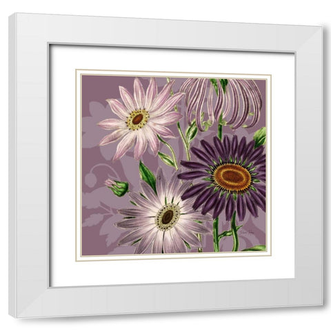 Victorian Garden 2 White Modern Wood Framed Art Print with Double Matting by Ross, Devon