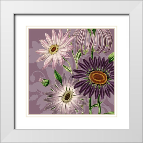 Victorian Garden 2 White Modern Wood Framed Art Print with Double Matting by Ross, Devon
