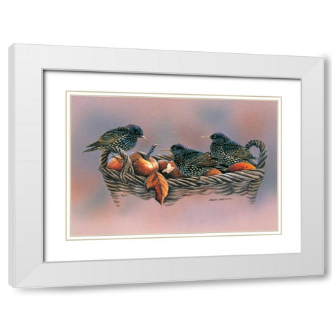 Family birds White Modern Wood Framed Art Print with Double Matting by Weenink, Ruud