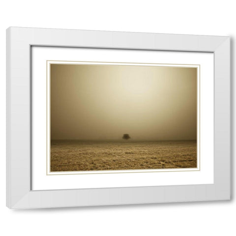 Single Tree in mist and fog White Modern Wood Framed Art Print with Double Matting by Frank, Assaf
