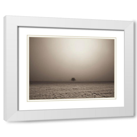 Single Tree in mist and fog White Modern Wood Framed Art Print with Double Matting by Frank, Assaf