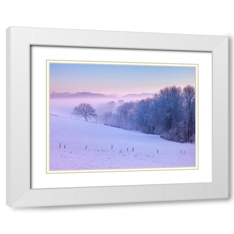 Winter landsacpe in Switzerland White Modern Wood Framed Art Print with Double Matting by Frank, Assaf
