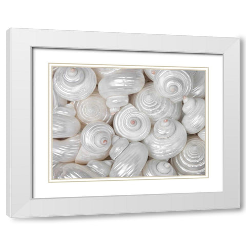 Mixed pearly sea shells close-up White Modern Wood Framed Art Print with Double Matting by Frank, Assaf