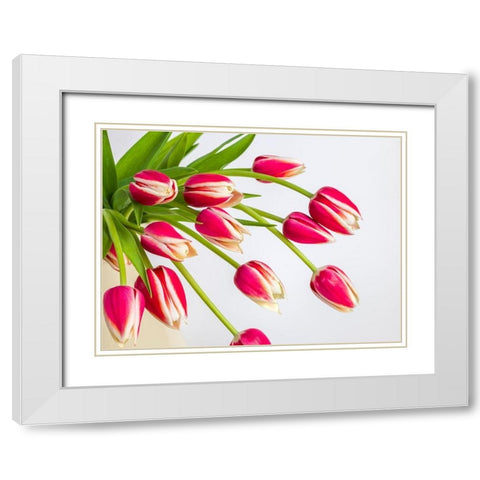 Bunch of red tulips White Modern Wood Framed Art Print with Double Matting by Frank, Assaf
