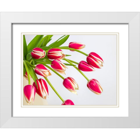 Bunch of red tulips White Modern Wood Framed Art Print with Double Matting by Frank, Assaf