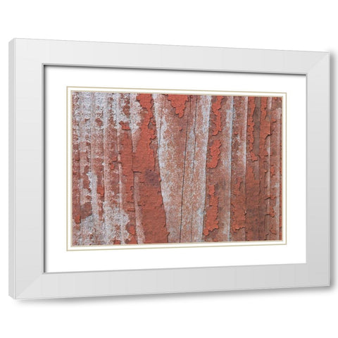 Paint on old door surface White Modern Wood Framed Art Print with Double Matting by Frank, Assaf
