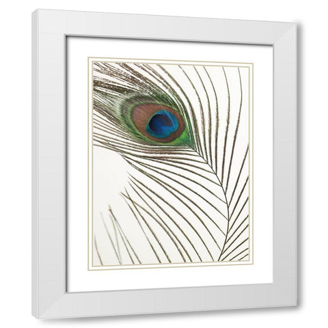 Peacock feather White Modern Wood Framed Art Print with Double Matting by Frank, Assaf