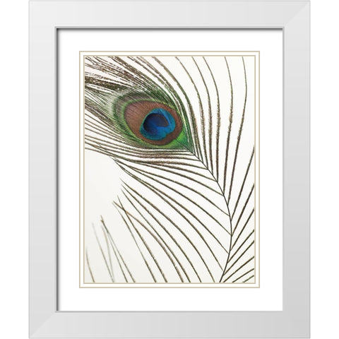 Peacock feather White Modern Wood Framed Art Print with Double Matting by Frank, Assaf