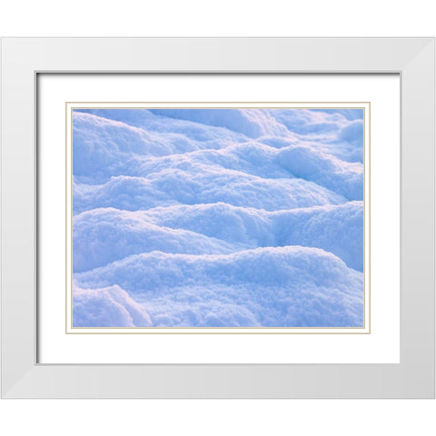 Snow White Modern Wood Framed Art Print with Double Matting by Frank, Assaf