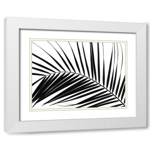 Palm tree leaf on white background White Modern Wood Framed Art Print with Double Matting by Frank, Assaf