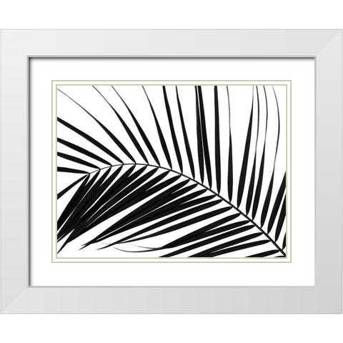 Palm tree leaf on white background White Modern Wood Framed Art Print with Double Matting by Frank, Assaf