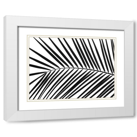 Palm tree leaf White Modern Wood Framed Art Print with Double Matting by Frank, Assaf